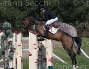 Schuttert Up to Date TosTour2013- S5 2147 : Arezzo, Arezzo Equestrian Centre, Schuttert Hendrik, Toscana Tour 2013, Up to Date, foto di Stefano Secchi ©